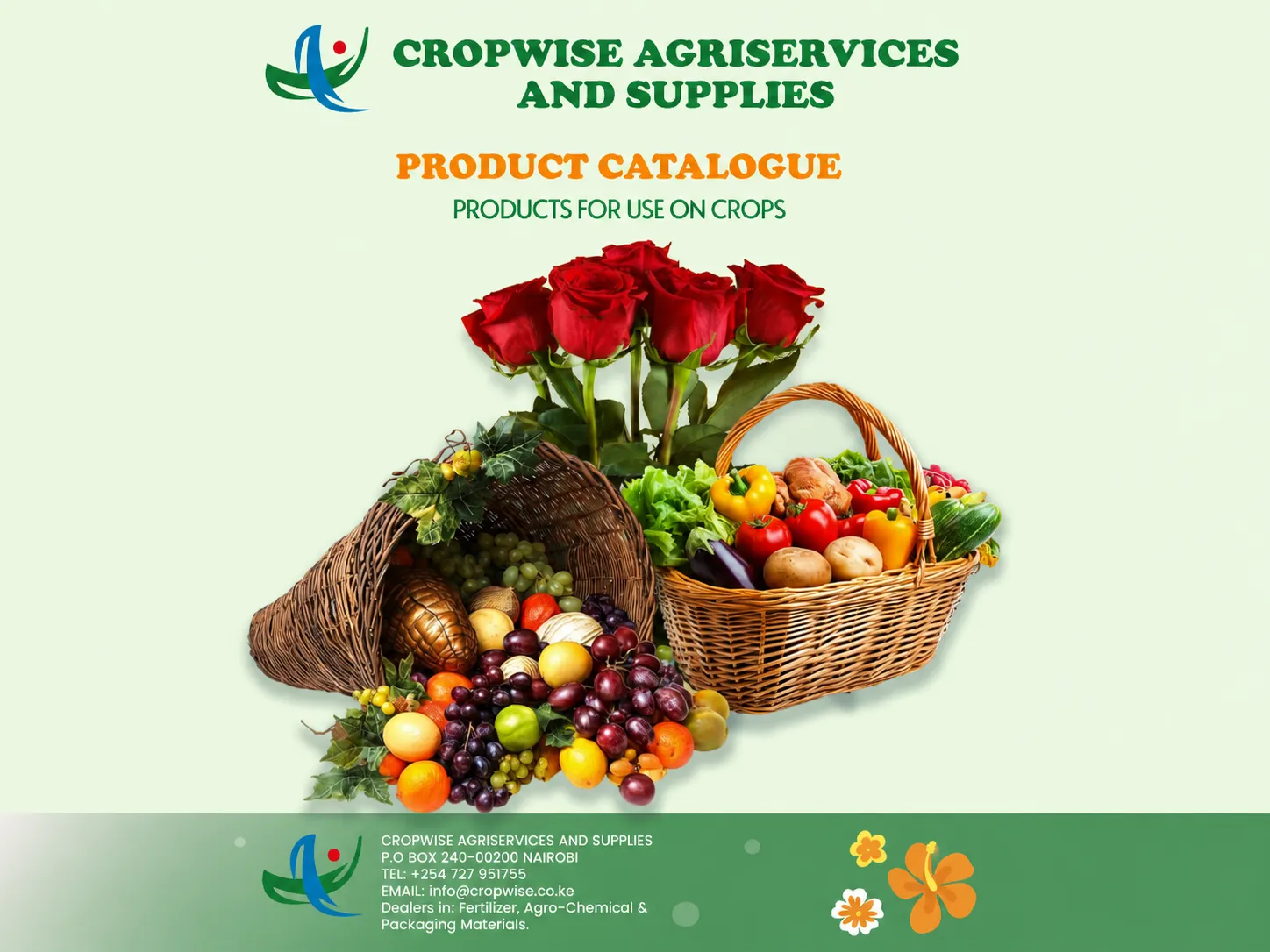 Brochure design sample